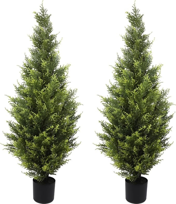 Faux topiary trees for either side of the faux wood door