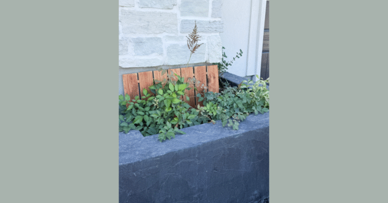 Cedar picket planter fence with greenery in front inside a cinderblock planter