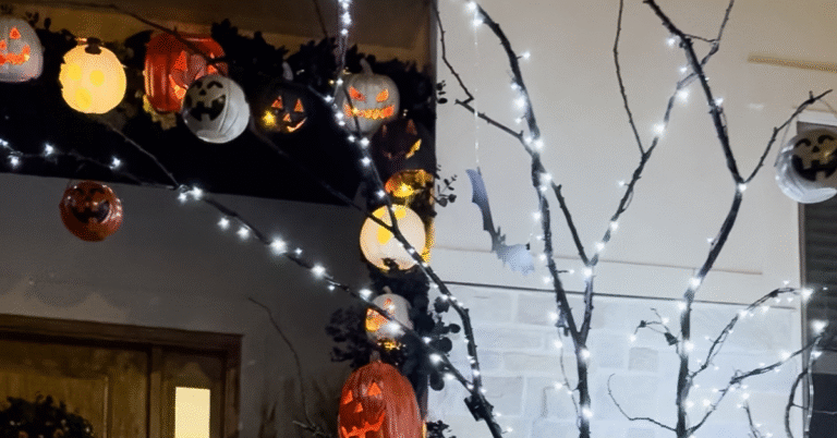 Halloween tree with string lights