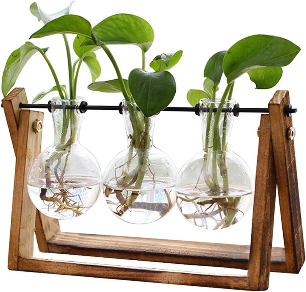 Hydroponic plant stand