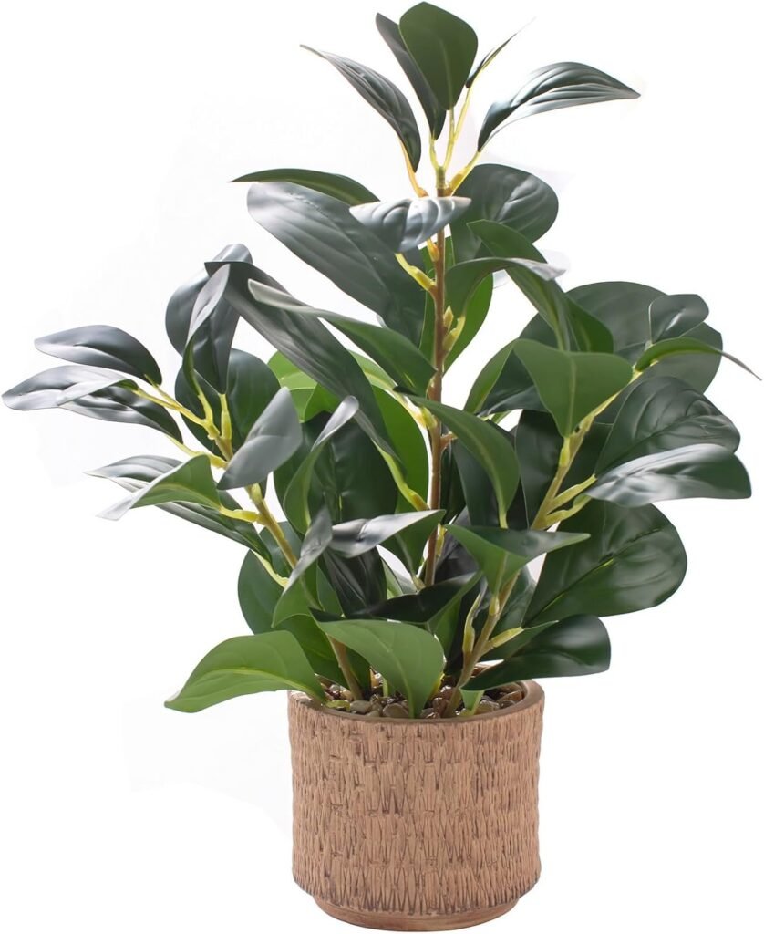 Faux rubber leaf plant