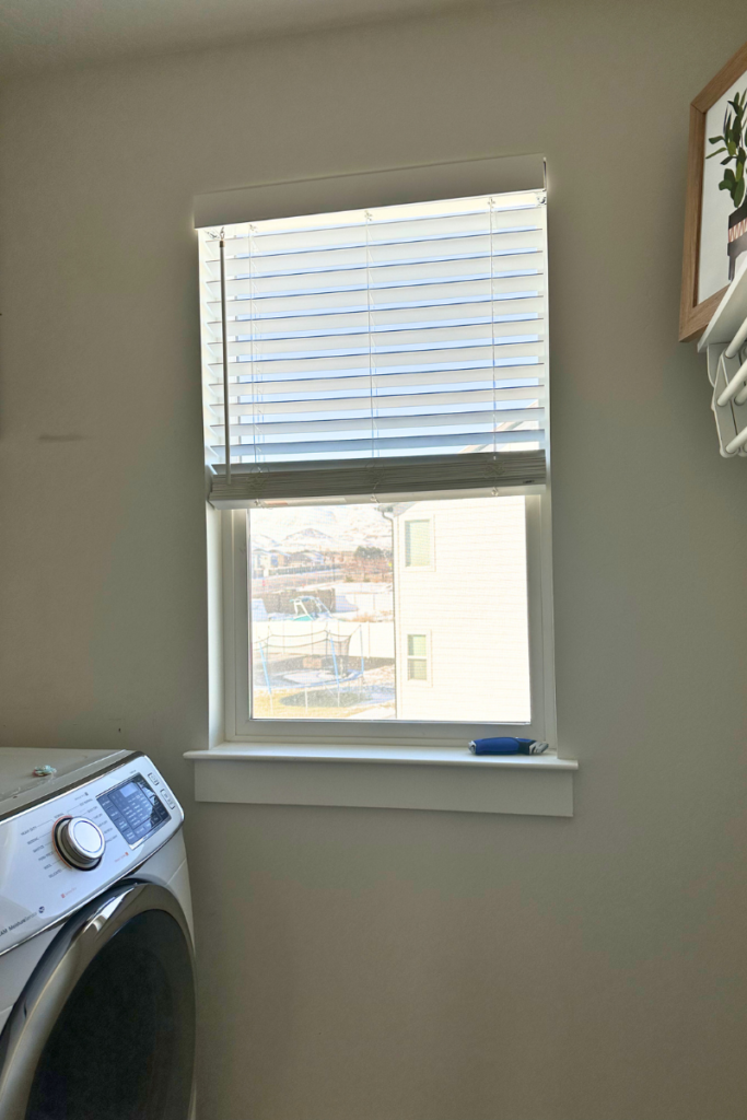Laundry room window