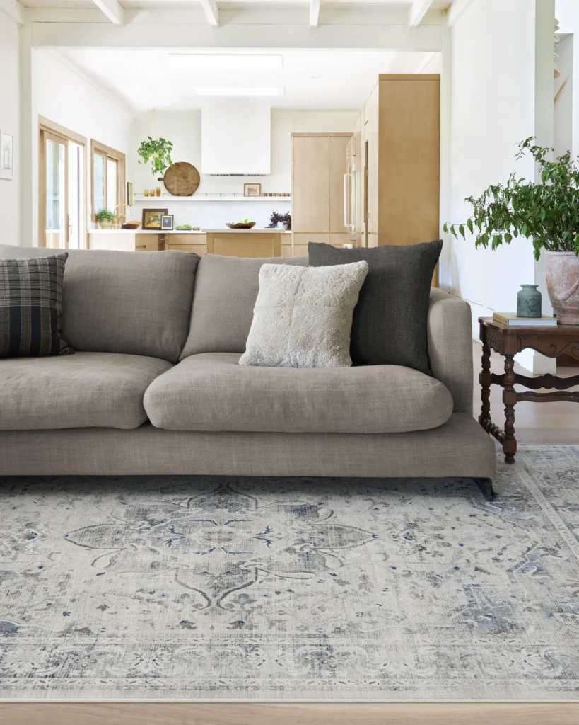 White, gray, and blue medallion rug under a gray couch