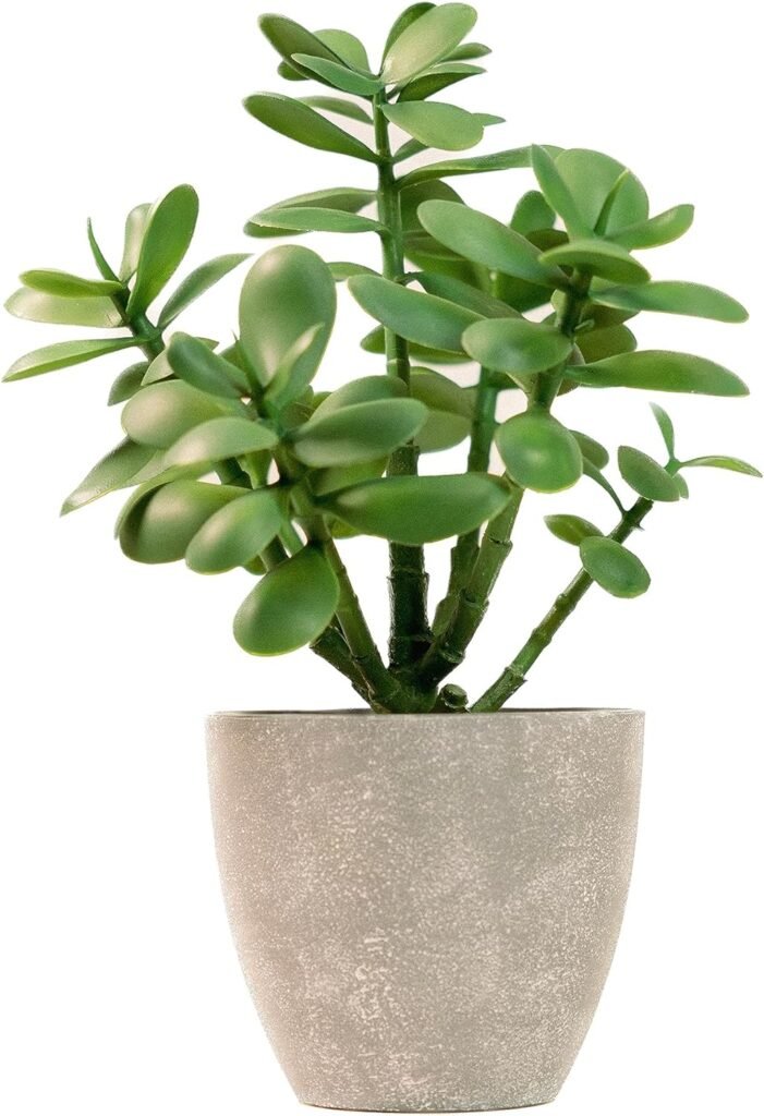 Shelf styling idea: faux jade succulent plant in a concrete vase
