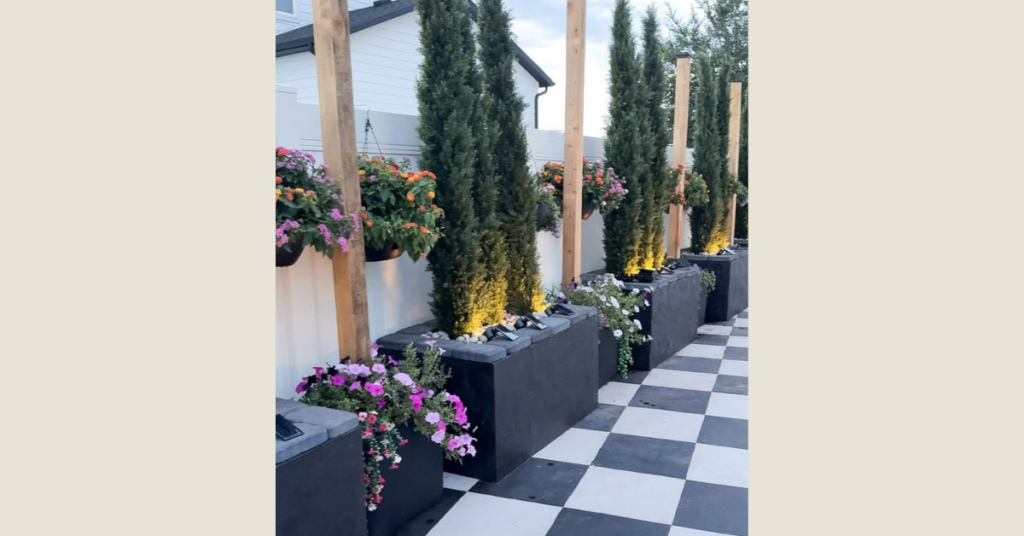 Cinder block patio planters painted black on checkerboard painted concrete. The planters are filled with tall, skinny trees, and flowers hang from the fence between the planters.