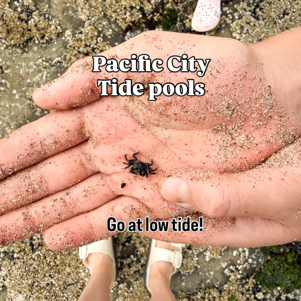 Hands holding a small sea crab. Text says: Pacific City Tide Pools; go at low tide
