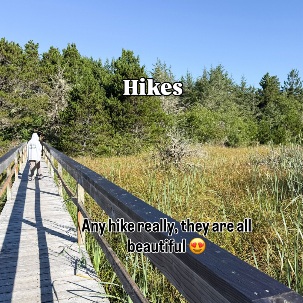Oregon coast with kids idea: hikes. Image shows a boardwalk through tall grass into pine trees