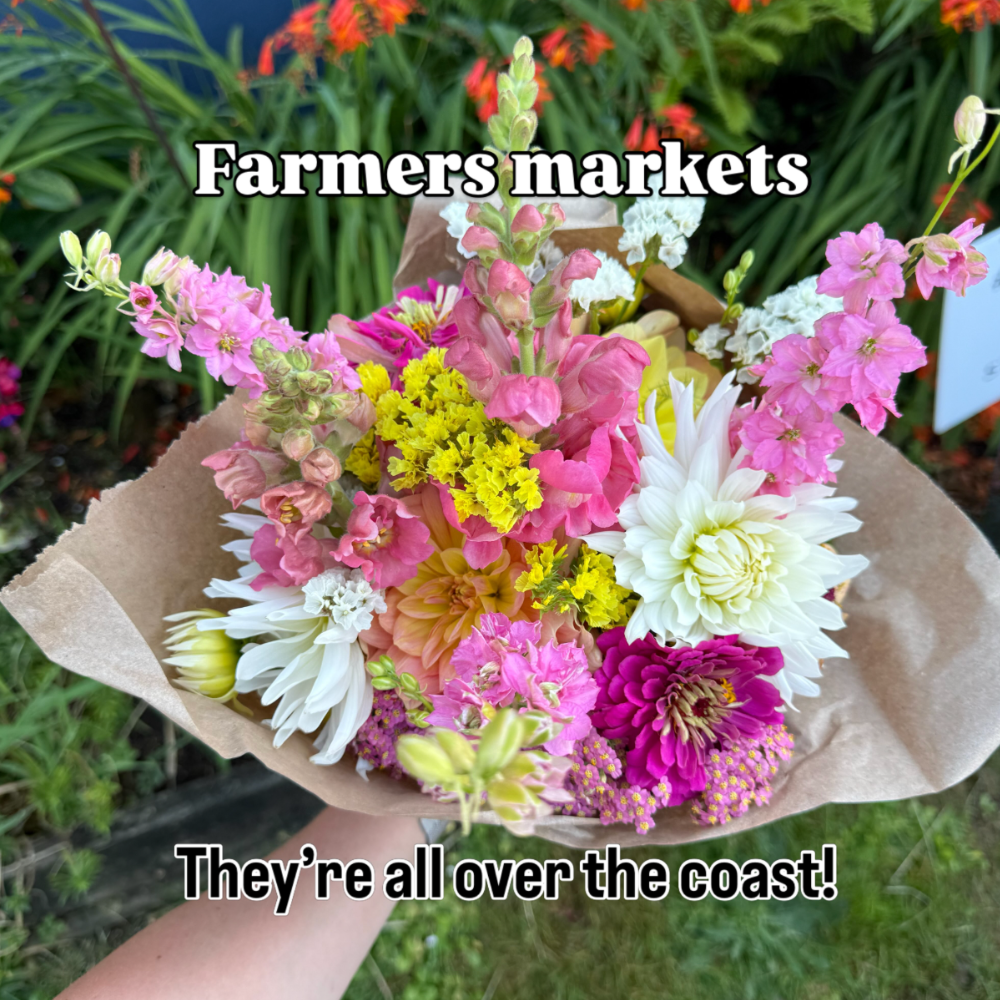 Oregon Coast with kids idea: visiting farmers' markets.A bouquet of pink, yellow, and white flowers in butcher paper. Text says: Farmers markets; they're all over the coast!
