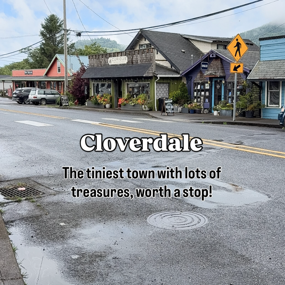 Oregon Coast with kids idea: visiting Cloverdale. Image of a street in Cloverdale with various storefronts