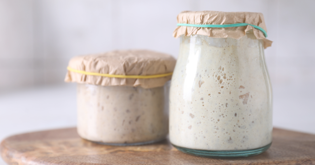 Sourdough in two different size jars with cloth over the top