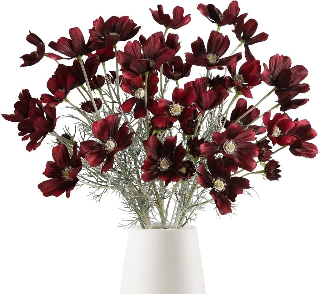 Burgundy cosmo flowers in a white vase